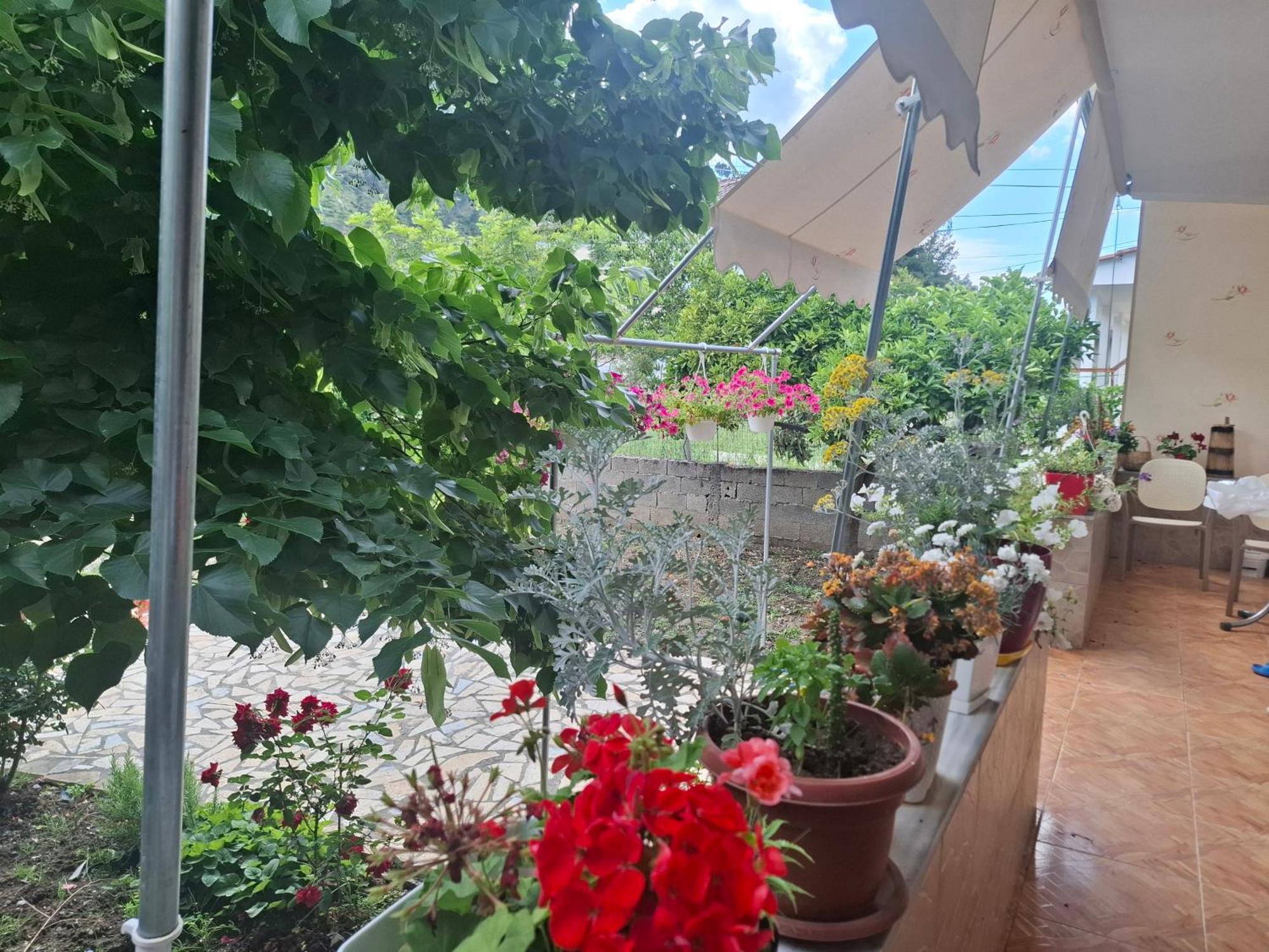 Apartmán Xheison Berat