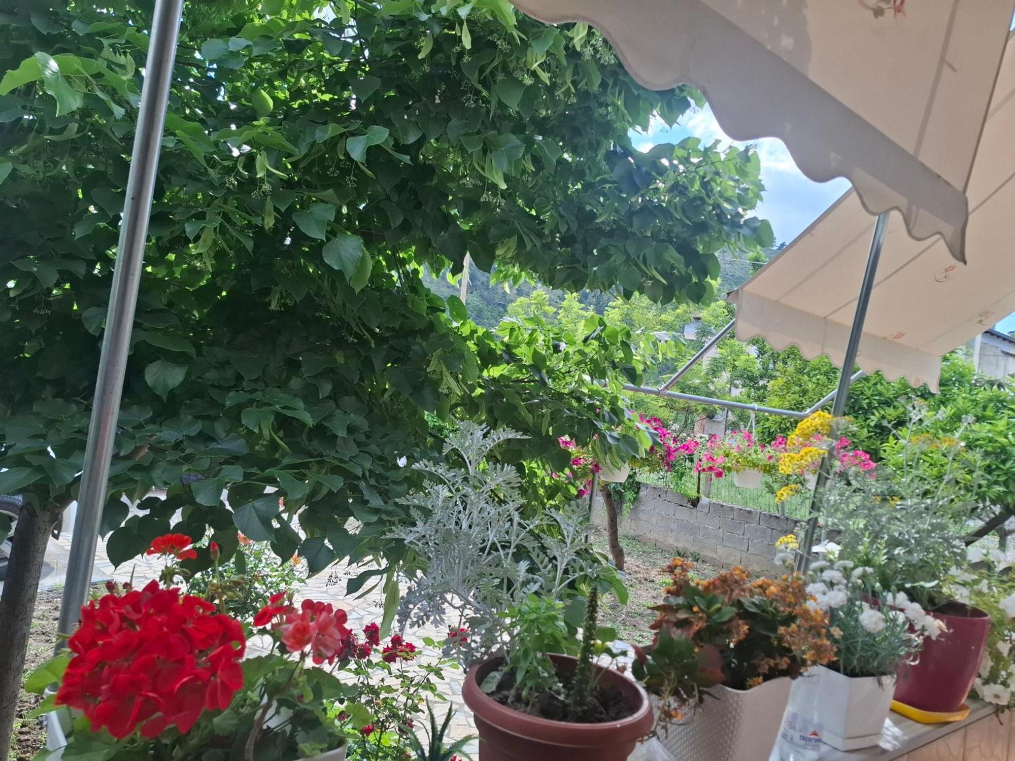 Apartmán Xheison Berat